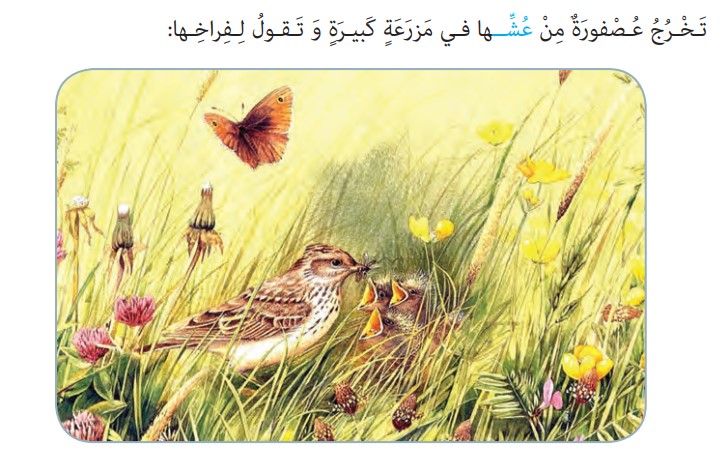 ترجمه صفحه 86 عربی هشتم